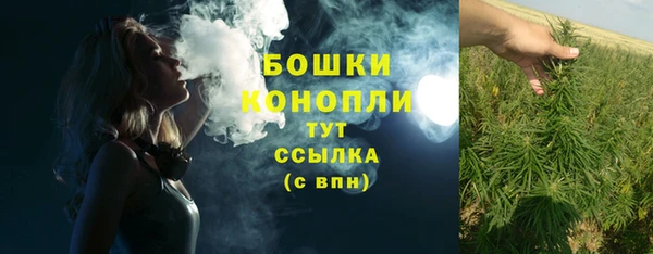 дурь Богородск