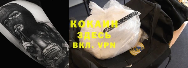 ПСИЛОЦИБИНОВЫЕ ГРИБЫ Богданович