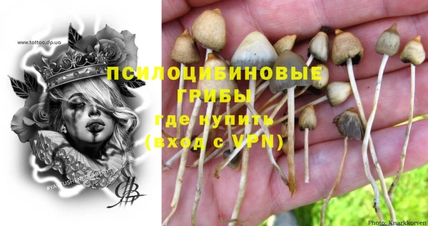 дурь Богородицк