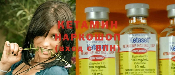 ПСИЛОЦИБИНОВЫЕ ГРИБЫ Богданович