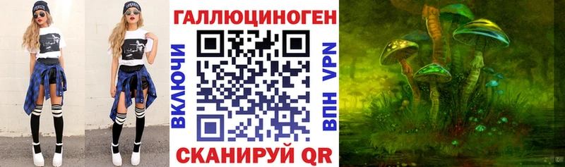 Купить где  Демидов  Галлюциногенные грибы Psilocybe 
